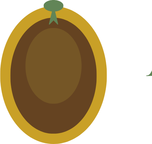 Amazônia Premium